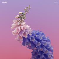 Виниловая пластинка Flume / Skin (Mint Limited) (2LP)