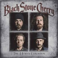 Виниловая пластинка Black Stone Cherry / The Human Condition (Silver, Limited) (1LP)