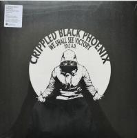 Виниловая пластинка Crippled Black Phoenix / We Shall See Victory (2LP)