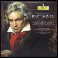 Виниловая пластинка Ludwig Van Beethoven / The golden masterpieces - ludwig van beethoven (1LP)