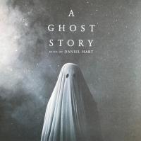Виниловая пластинка Daniel Hart / A Ghost Story (1LP)