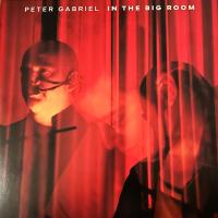 Виниловая пластинка Peter Gabriel / In the Big Room (2LP)