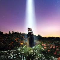 Компакт-диск Honne / Let's Just Say The World Ended A Week From Now, What Would You Do? (CD)