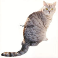 Виниловая пластинка Sarter Kit / What I Am And What I'm Not (1LP)