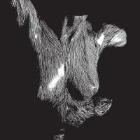 Виниловая пластинка Oceansize / Self Preserved While The Bodies Float Up (Triplefold) (3LP)