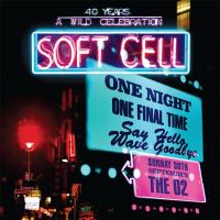 Компакт-диск Soft Cell / Say Hello, Wave Goodbye (2CD+DVD)