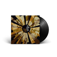 Виниловая пластинка Nada Surf / The Weight Is A Gift (1LP)