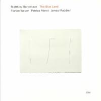 Виниловая пластинка Matthieu Bordenave / The Blue Land (1LP)