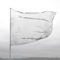 Виниловая пластинка Dool / The Shape Of Fluidity (Turquoise Green Transparent, Limited) (1LP)