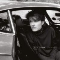Виниловая пластинка David Sylvian / Gone To Earth (2LP)
