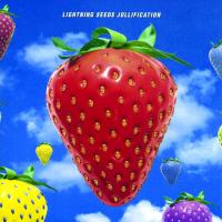 Виниловая пластинка Lightning Seeds / Jollification (LP)