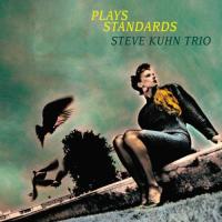 Виниловая пластинка Steve Kuhn / Plays Standards (Japan, Limited, Venus Hyper Magnum Sound Masterpiece Series) (2LP)