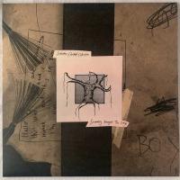 Виниловая пластинка Suburban Cracked Collective / Swimming Amongst The Dregs (1LP)
