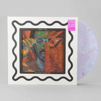 Виниловая пластинка Toro Y Moi / Anything In Return (2LP)