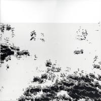 Виниловая пластинка Bot1500 / The black sea (1LP)