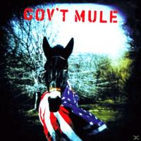 Виниловая пластинка Gov't Mule / Gov't Mule (2LP)
