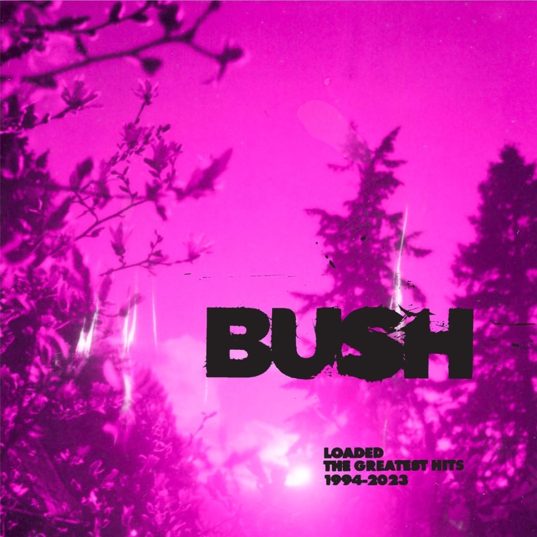 2023 1994. Bush Band. Bush everything Zen. Буш 2023.