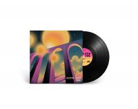 Виниловая пластинка Altin Gun / Yol