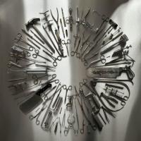 Компакт-диск Carcass / Surgical Steel (RU)(CD)