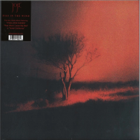 Виниловая пластинка Joji / Piss In the Wind (1LP)