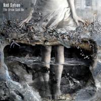 Компакт-диск Nad Sylvan / The Bride Said No (CD)
