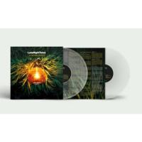 Виниловая пластинка Jordan Rakei / Late Night Tales: Jordan Rakei (coloured) (2LP)