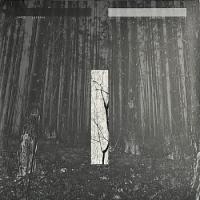 Виниловая пластинка CHRIS LIEBING / Another Day (2LP)