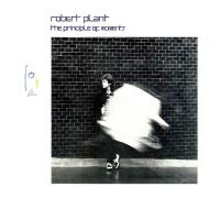 Компакт-диск Robert Plant / The Principle Of Moments (CD)