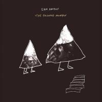 Компакт-диск Sam Amidon / The Following Mountain (CD)