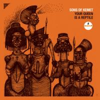 Виниловая пластинка Sons Of Kemet / Your Queen Is A Reptile (2LP)