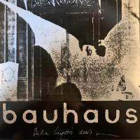 Виниловая пластинка BAUHAUS / THE BELA SESSION - RED & BLACK VINYL (1LP)