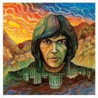 Компакт-диск Neil Young / Neil Young (1CD)