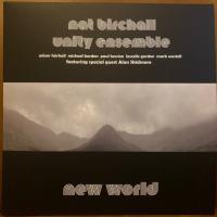 Виниловая пластинка Nat Birchall Unity Ensemble / New World (1LP)
