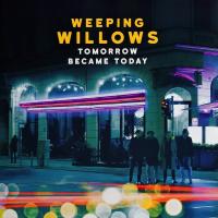 Виниловая пластинка WEEPING WILLOWS / TOMORROW BECAME TODAY (1LP)