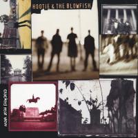 Виниловая пластинка Hootie & The Blowfish / Cracked Rear View