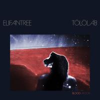 Виниловая пластинка ELIFANTREE & TOELOELAEB / BLOOD MOON PLUS CD (2LP)