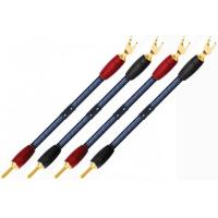 Переходник AudioQuest Saturn BiWire Jumpers PSC+ Banana/Spade Gold (4 х 0.25 м)