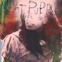 Виниловая пластинка Meat Puppets / Too High To Die (1LP)