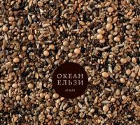 Компакт-диск Океан Ельзи / Земля (CD)