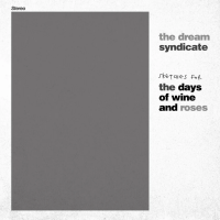 Виниловая пластинка The Dream Syndicate / Sketches For The Days Of Wine And Roses (1LP)