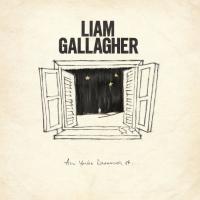 Виниловая пластинка Liam Gallagher / All You're Dreaming Of…(7" Vinyl Single)