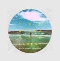 Виниловая пластинка Manic Street Preachers / The ultra vivid lament - picture disc (1LP)