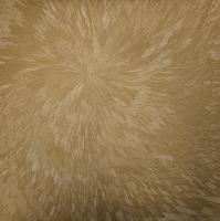 Виниловая пластинка PJEV AND KIT DOWNES AND HAYDEN CHISHOLM / MEDNA ROSO (1LP)