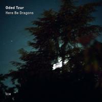 Виниловая пластинка Oded Tzur / Here Be Dragons (LP) Виниловая пластинка Oded Tzur / Here Be Dragons (LP)