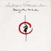 Виниловая пластинка ANDREAS VOLLENWEIDER / DANCING WITH THE LION (1LP)