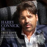 Виниловая пластинка Harry Connick, Jr. / True Love: A Celebration Of Cole Porter (2LP)