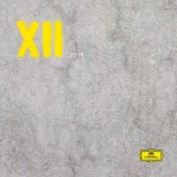 Виниловая пластинка Сборник / XII (LP)