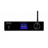 Интегральный стереоусилитель PREMIERA MINI AMP L silver