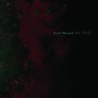 Виниловая пластинка Scott Walker / The drift (2LP)