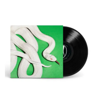 Виниловая пластинка Deftones / Private Music (1LP)